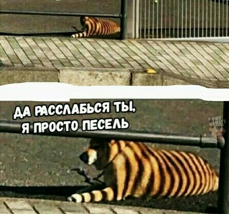 дд иссмвься ты