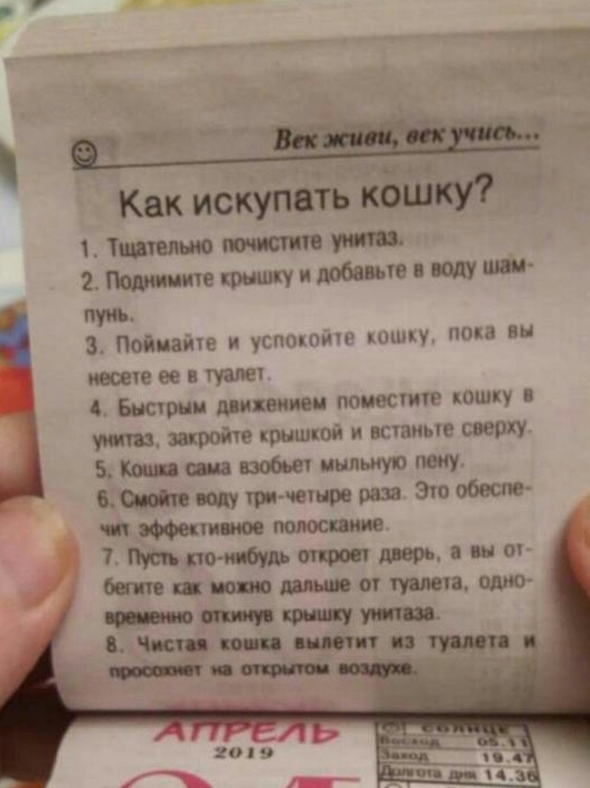 Как искупать кошку Тишвлью 2 Поди ине крышку и добавьте в воду ши пумы 3 Пойиаию и успшпит пишу папа вы даете ее в туалеу 4 Бнстрии мизинец пометит кошку широте крышкой и винные сверху 5 ша иыпьиуо пеку б соду границе рал Эю обесМ наносимые 7 по _ а ваш шт с чуши ошо ММ ути итти