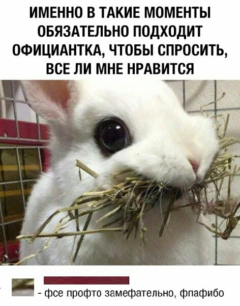 ИМЕННО В ТАКИЕ МОМЕНТЫ ОБЯЗАТЕЛЬНО ПОДХОДИТ ОФИЦИАНТКА ЧТОБЫ СПРОСИТЬ ВСЕ ЛИ МНЕ НРАВИТСЯ фсе профто замефательно фпафибо