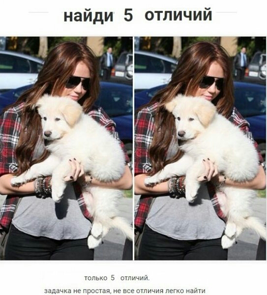найди 5 отличий гогмо 5 игичми заддчка не грести не все стичч тым наи