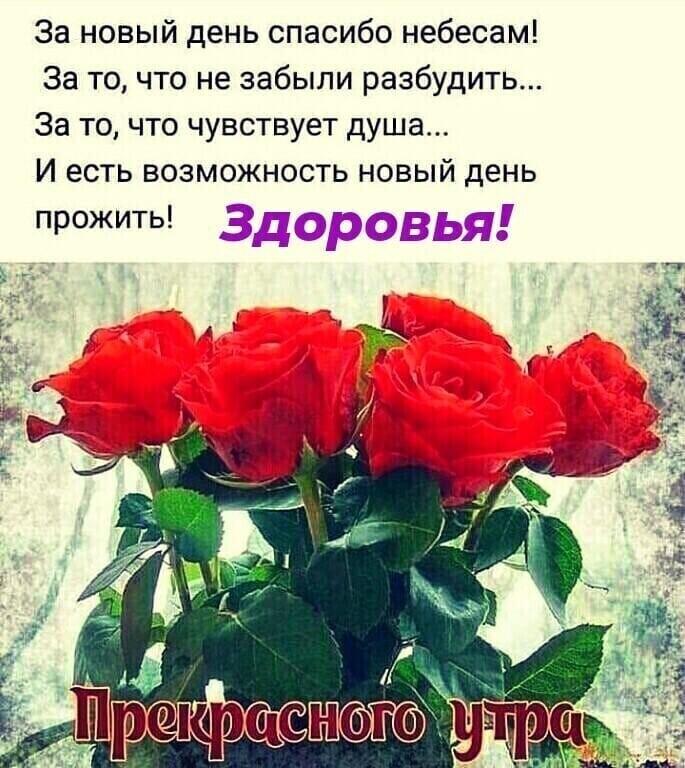 За новый день спасибо небесам За то что не забыли разбудить За то что чувствует душа И есть возможность новый день прожить ЗД5ЬЯЕ