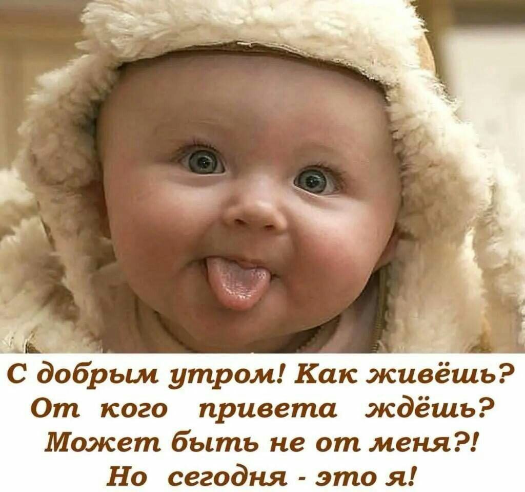 и С добрым утром Как живёшь От кого привета ждёшь Может быть не от меня Но сегодня это я