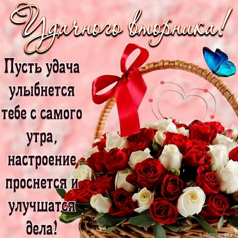 С Щи тюк Ш Пусть удача 335 1 7 улыбнется д тебе ссамого