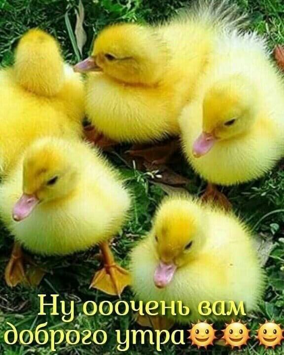 ну ооОЧёнъ в 647920 утраіё