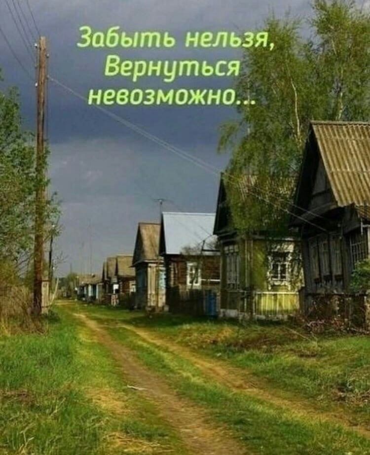 ш11_1г замши