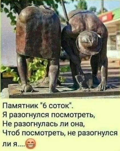Памятник 6 соток Я разогнулся посмотреть Не разогнупась ли она Чтоб посмотреть не разогнулся ли я