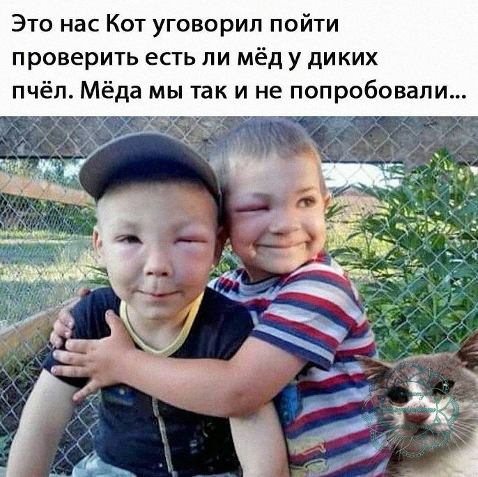 Это нас Кот уговорил пойти проверить есть ли мёд у ди ких пчёл Мёда мы так и не попробовали
