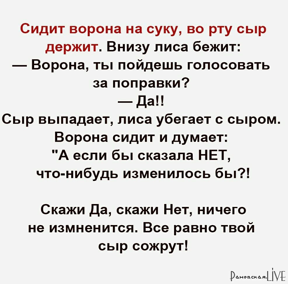 Сидит ворона на суку во рту сыр держит Внизу лиса бежит Ворона ты пойдешь голосовать за поправки Да Сыр выпадает лиса убегает с сыром Ворона сидит и думает А если бы сказала НЕТ что нибудь изменилось бы Скажи Да скажи Нет ничего не измненится Все равно твой сыр сожрут ращуг