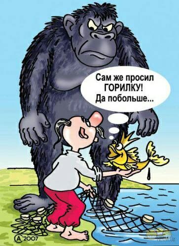 Сам же просил ГОРИПКУ да побольше