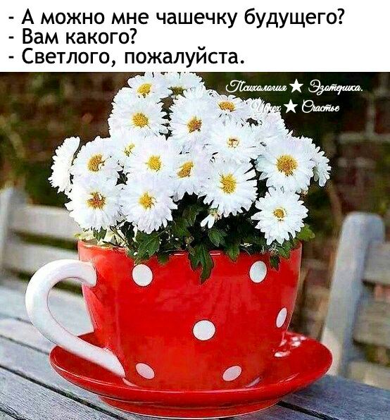 А можно мне чашечку будущего Вам какого _ Светлого пожалуиста тч