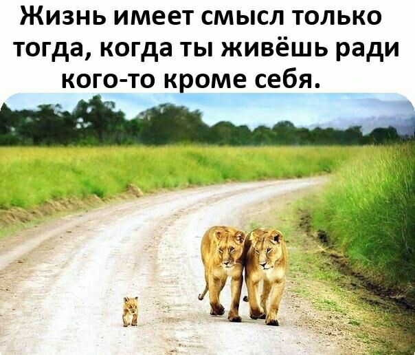 Жизнь имеет смысл только тогда когда ты живёшь ради кого то кроме себя