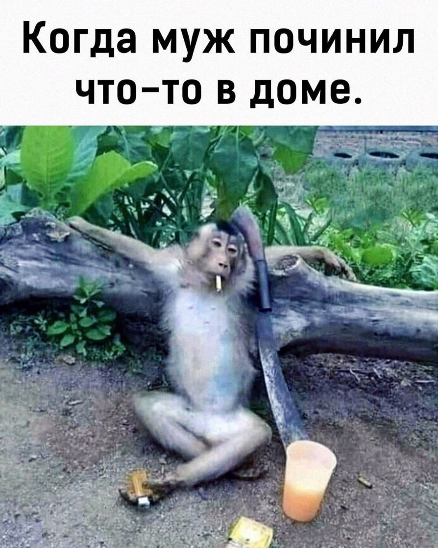 Когда муж починил что то в доме