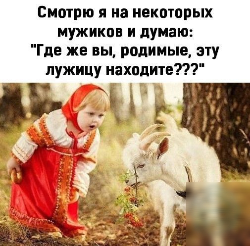 Смотрю я на некоторых мужиков и думаю Где же вы родимые эту