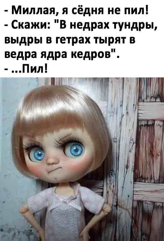 Миллая я сёдня не пил Скажи В недрах тундры выдры в гетрах тырят в ведра ядра кедров