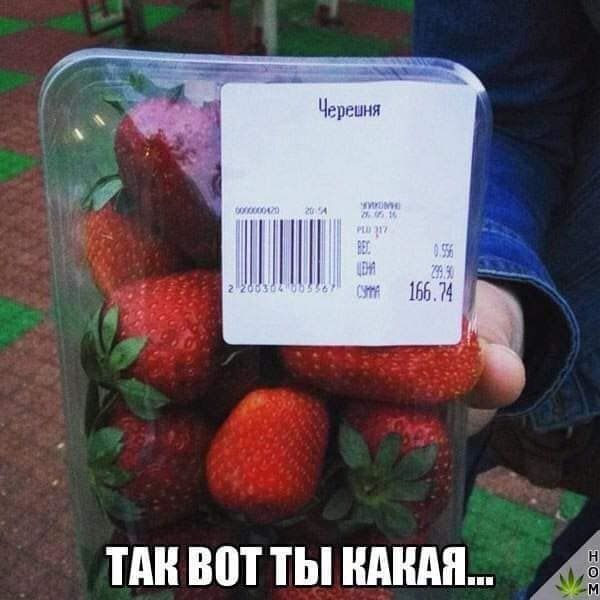 тдн воттындндн