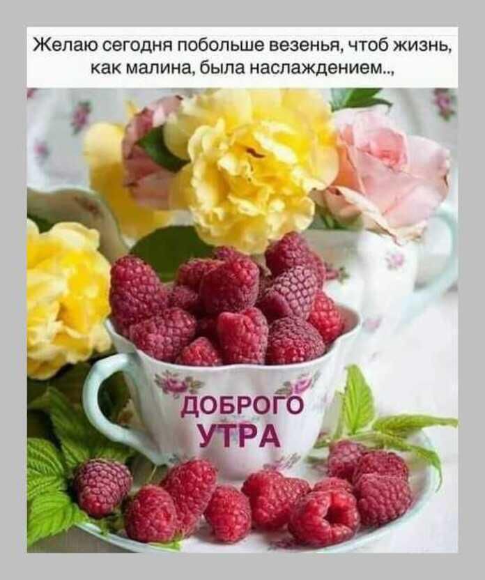Желаю сегодня побольше везенья чтоб жизнь как малина была наслаждением