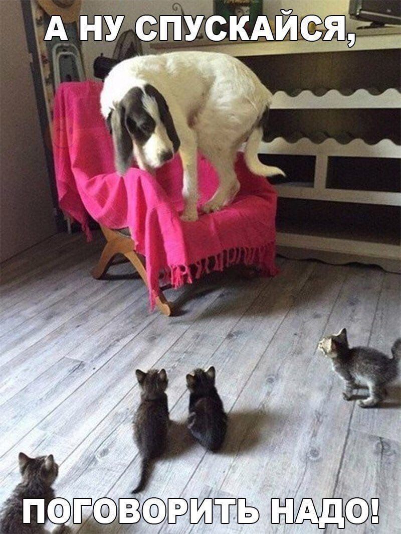 А ну еще А сё