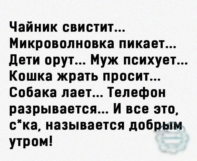 Чайник свистит Микроволновка пикает Дети орут Муж психует Кошка жрать просит Собака лает Телефон разрывается И все это ска называется добрым утром