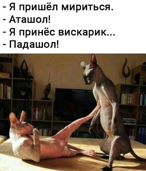 Я пришёл мириться Аташол Я принёс вискарик Падашол