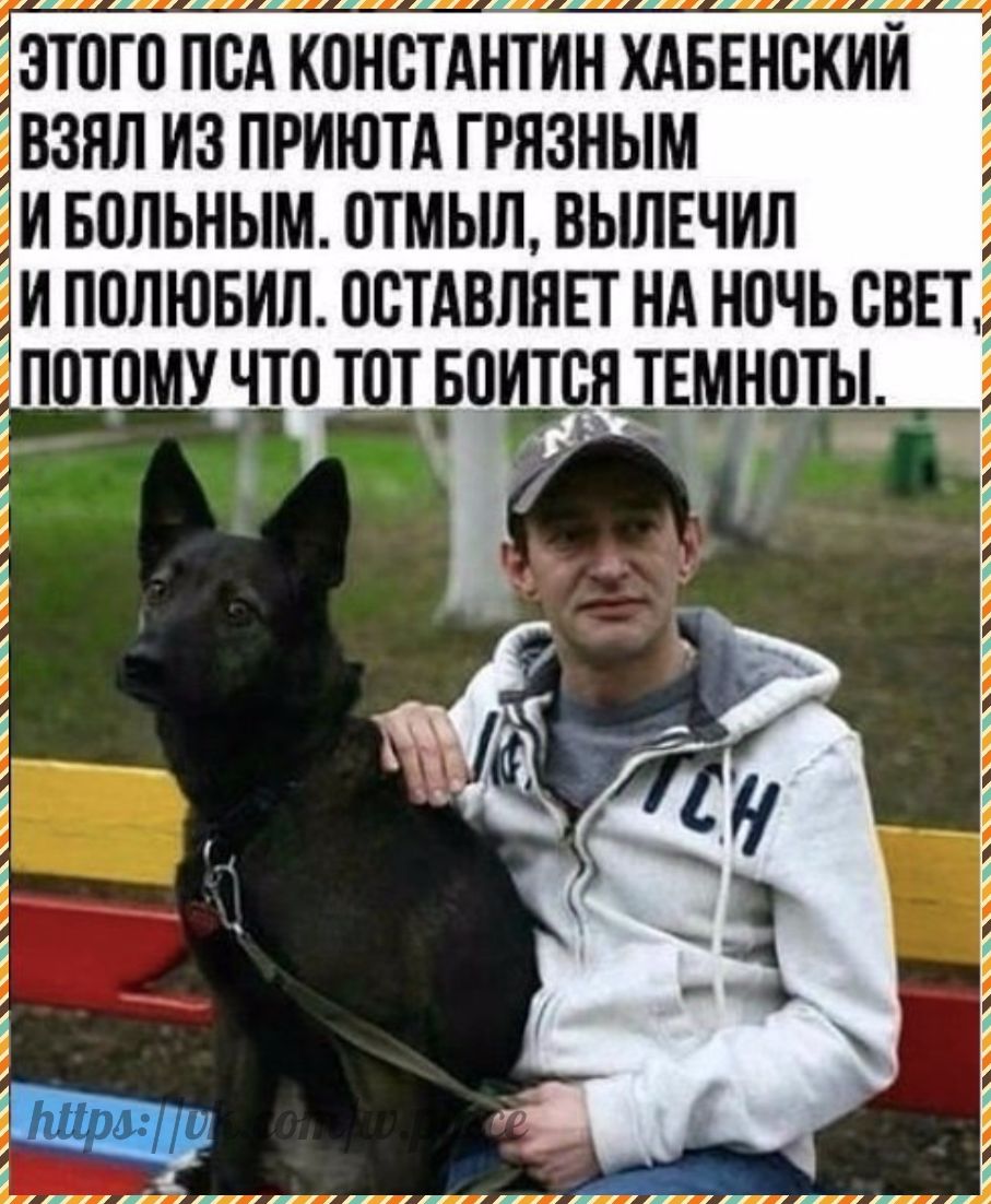 ЗТОГО ПСА КПНСТАНТИН ХАБЕНСКИИ ВЗЯЛ ИЗ ПРИЮТА ГРЯЗНЫМ ЁИ БОЛЬНЫМ 0ТМЫЛ ВЫПЕЧИЛ ЁИ ПОЛЮБИЛ ОСТАВЛЕН НА НОЧЬ СВЕТ НПТЫ