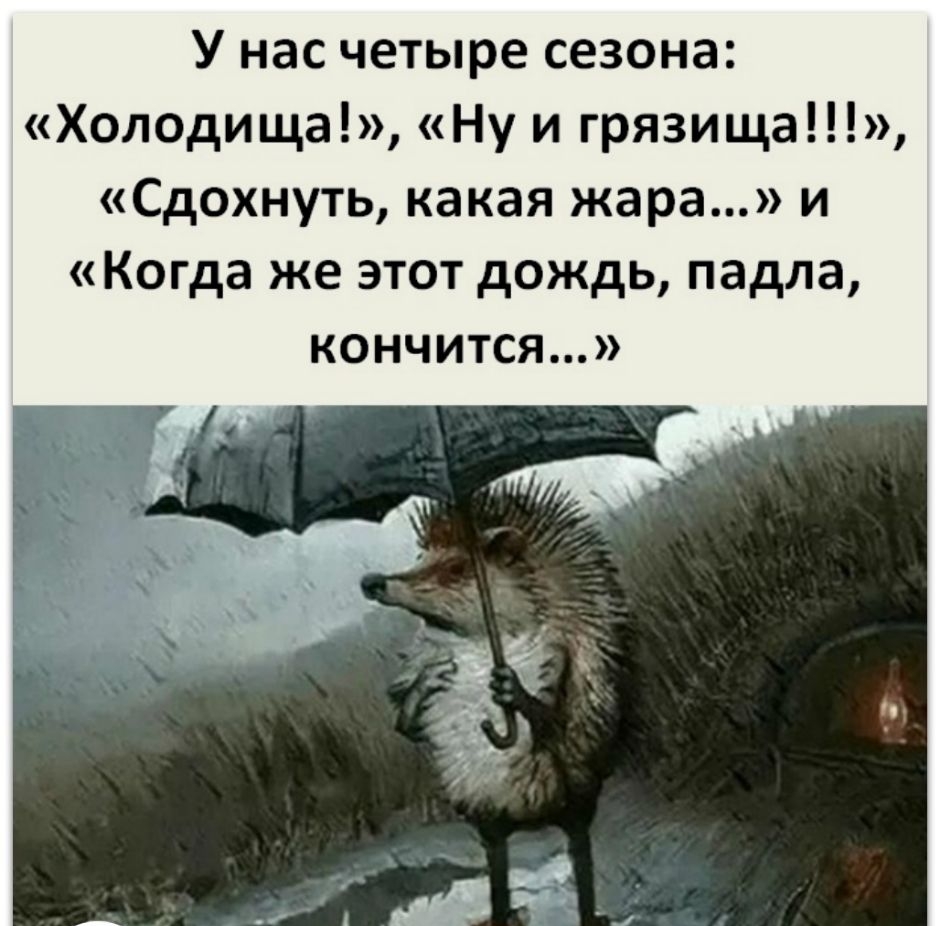 У нас четыре сезона Холодища Ну и грязища Сдохнуть какая жара и Когда же этот дождь падла кончится