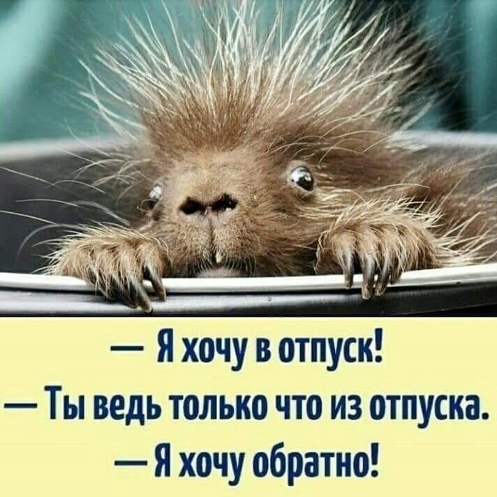 Я хочу в отпуск Ты ведь только что из отпуска Я хочу обратно