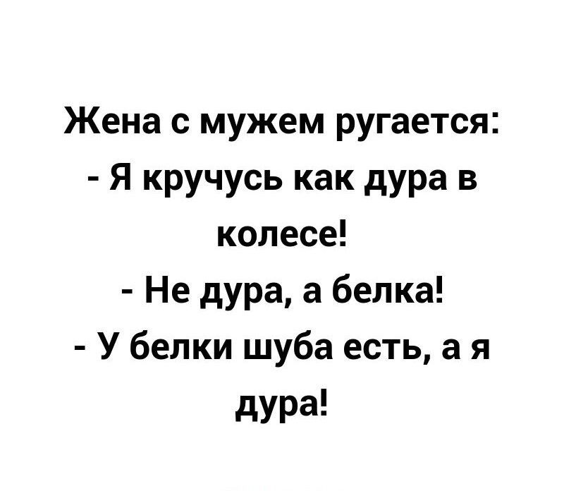 Жена с мужем ругается Я кручусь как дура в колесе Не дура а белка У белки шуба есть а я дура