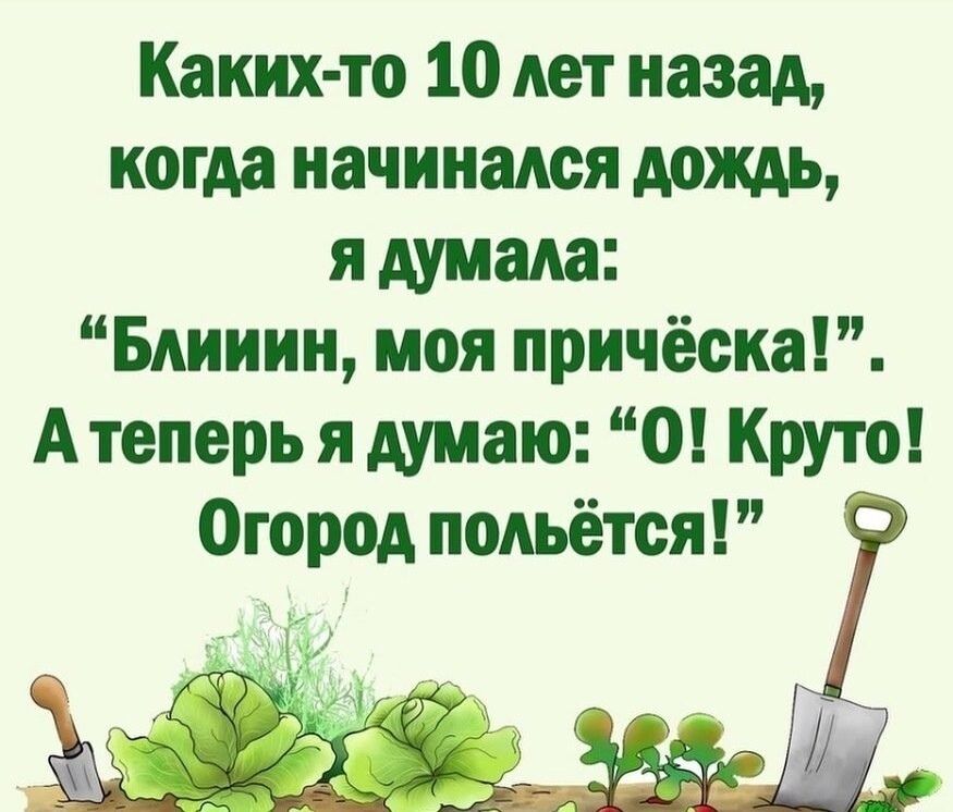Каких то 10 лет назад когда начинался дождь я думада Бдииин моя причёска А теперь я думаю 0 Круто Огород польётся