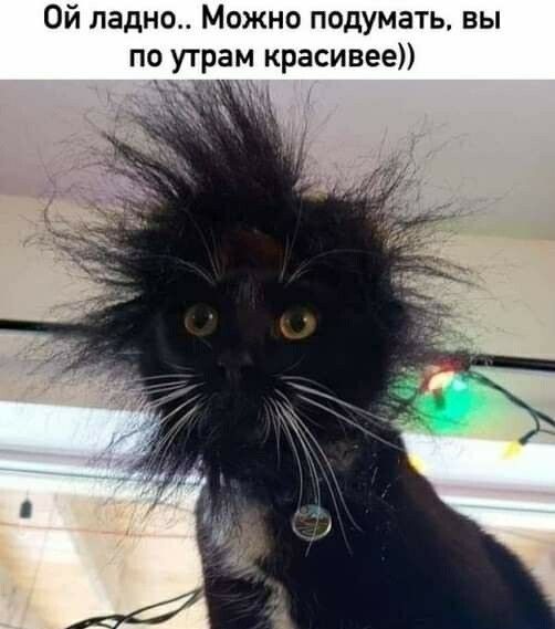 Ой ладно Можно подумать вы по утрам красивее