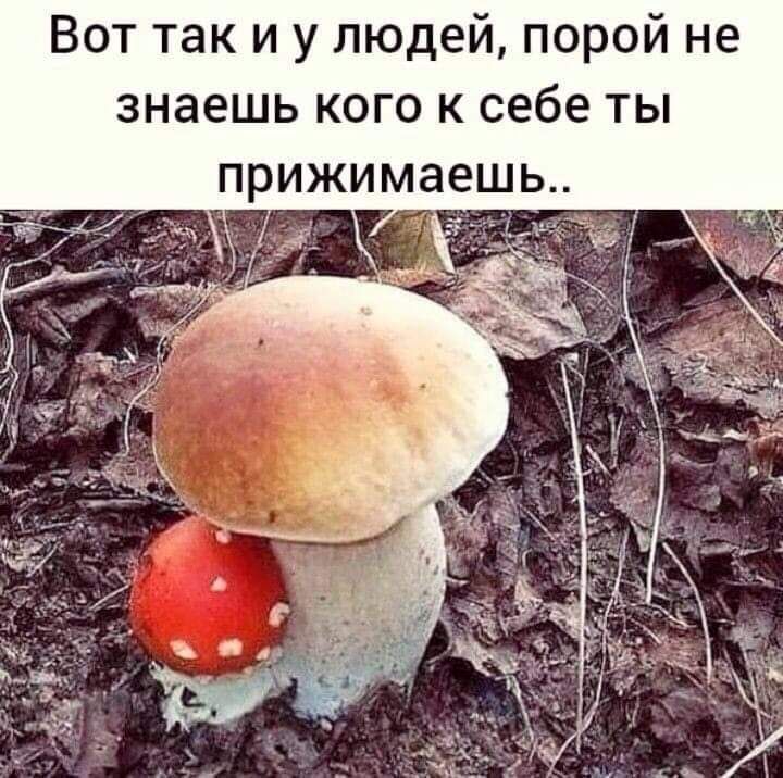 Вот так и у людей порой не знаешь кого к себе ты ПРИЖИМЗЕШЬ