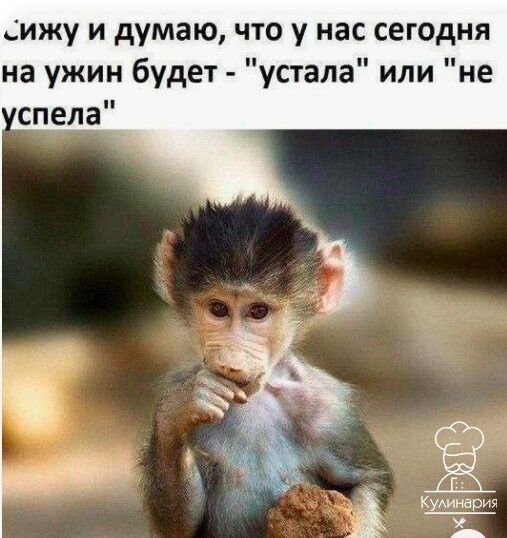 ижу и думаю что у нас сегодня на ужин будет устала или не спела