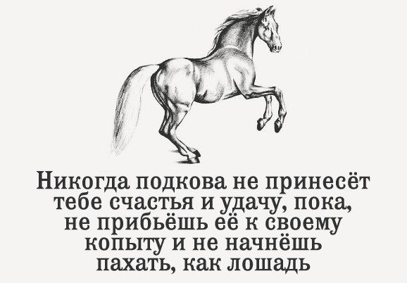 Никогда подкова не принесёт тебе счастья и удачу пока не прибьешь ее к своему КОПЫТУ И не начнешь пахать как лошадь