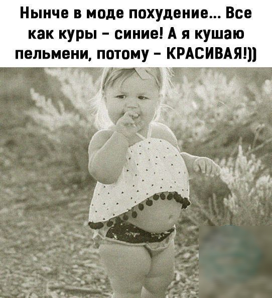 Нынче в моде похудение Все как куры синие А я кушаю пельмени потому КРАСИВАЯШ
