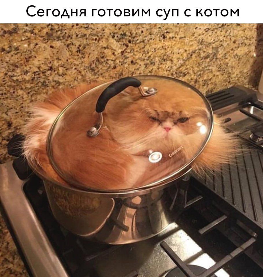 СЭГОАНЯ ГОТОВИМ СУП С КОТОМ