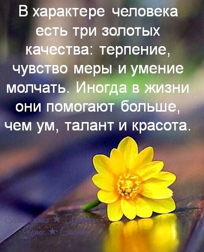 тере чепоШа три золотых ва терпение чу меры и умение метад они п ют чем УМ талант И красота Вх