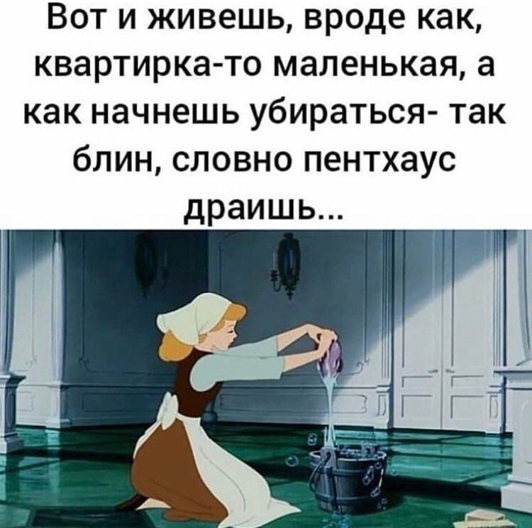 Вот и живешь вроде как квартирка то маленькая а как начнешь убираться так блин словно пентхаус драишь
