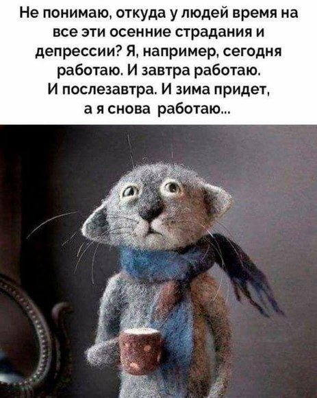 Не понимаю откуда у людей время на все эти осенние страдания и депрессии Я например сегодня работаю И завтра работаю И послезавтра И зима придеТ а я снова работаю
