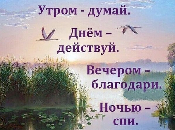 Утром думай ДнёМ г действуй Вечером благфдари