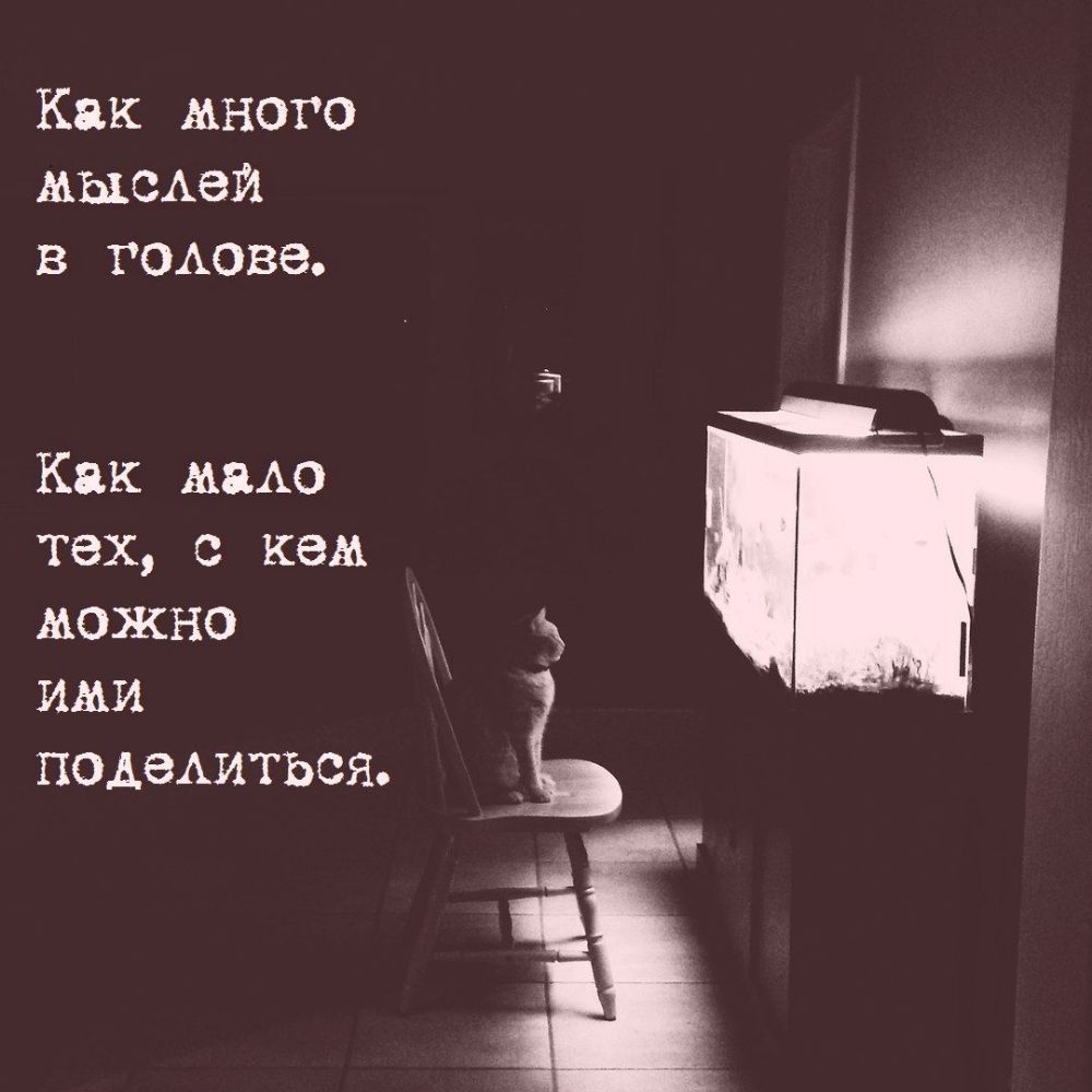 Как много мышей в ГОАОВЗ Как шыш тех с кем можно ими подеАиться