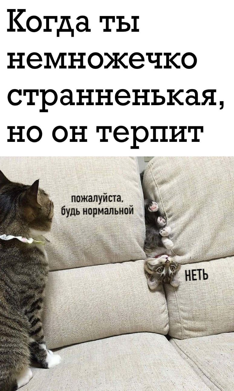 Когда ты немножечко странненькая но он терпит пожалуйста будь нормальной