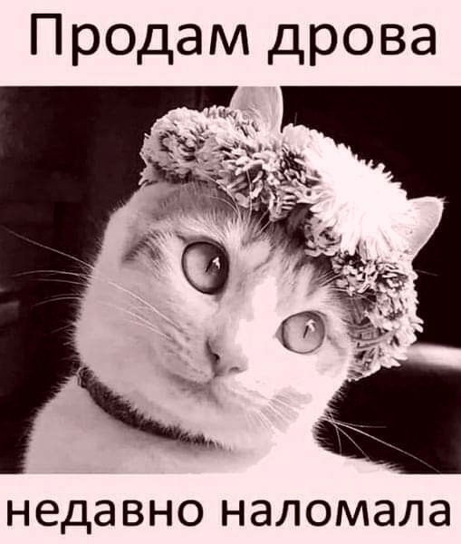 Продам дрова НЕДЭВНО НЭЛОМЭЛЭ