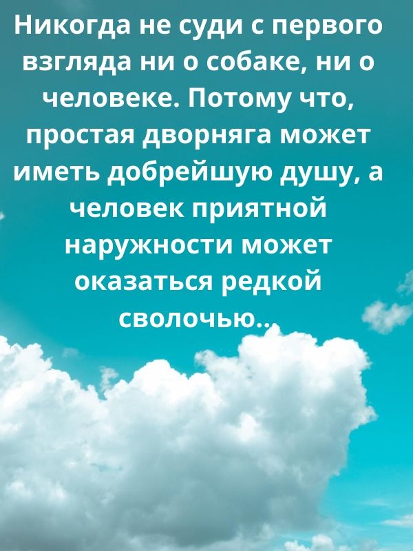 Никогда не суди с первого взгляда ни о собаке ни о человеке Потому что простая дворняга может иметь добрейшую душу а человек приятной наружности может оказаться редкой сволочью