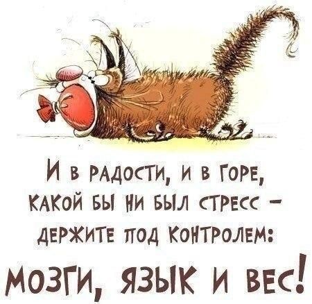И в мости и в Горн КАКОЙ вы ни выл ТРЕсс держите под КОНТРОЛЕМ Мозги язык и ввс
