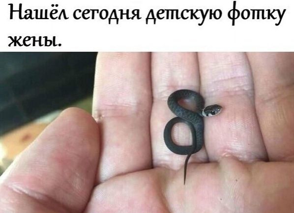 Нашёд сегодня детскую фотку жены з аш