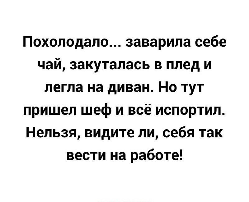 Похолодало заварила себе чай закуталась в плед и легла на диван Но тут пришел шеф и всё испортил Нельзя видите ли себя так вести на работе