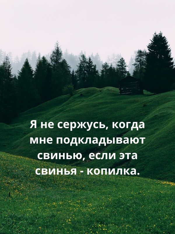 Я не сержусь когда мне подкладывают свинью если эта свинья копилка ТЪ