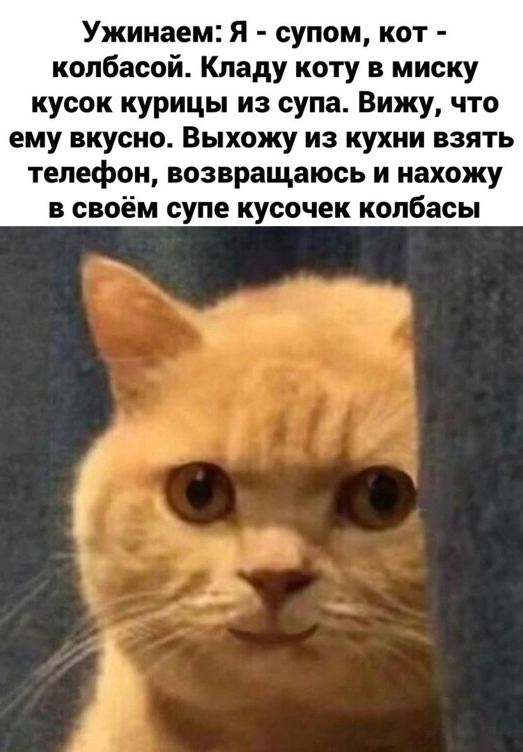 Ужинаем Я супом кот колбасой Кладу коту в миску кусок курицы из супа Вижу что ему вкусно Выхожу из кухни взять телефон возвращаюсь и нахожу в своём супе кусочек колбасы
