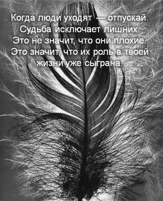 д ят шим М Бба скпючает
