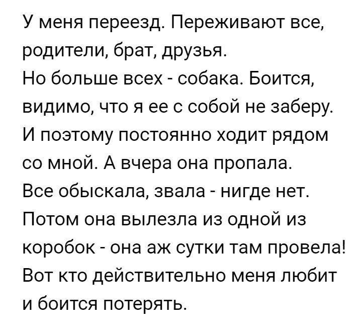 У меня переезд Переживают все родители брат друзья Но больше всех собака Боится видимо что я ее с собой не заберу И поэтому постоянно ходит рядом со мной А вчера она пропала Все обыскала звала нигде нет Потом она вылезла из одной из коробок она аж сутки там провела Вот кто действительно меня любит и боится потерять