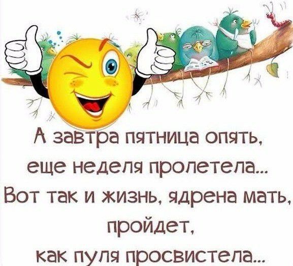 А заЁтра пятница опять еще неделя пролетела Вот так и жизнь ядрена мать пройдет как пупя просвистела